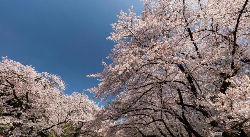 Bougainvillea Minowa Hotel