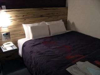Fontaine Grand Tokyo-tamachi 4*