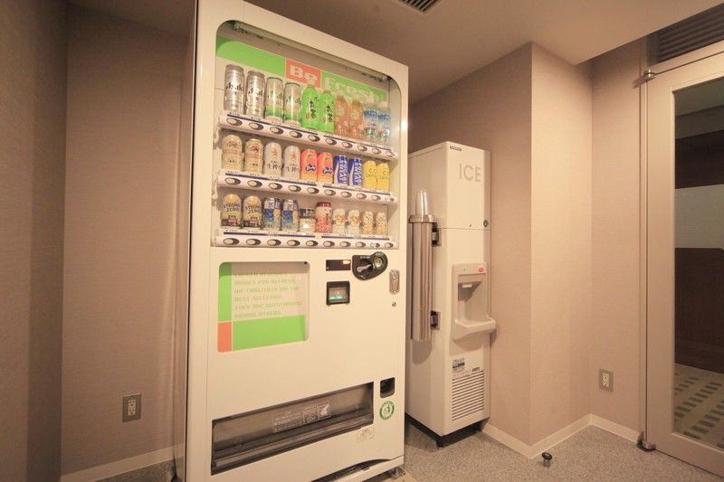 Sotetsu Fresa Higashi Shinjuku 3*