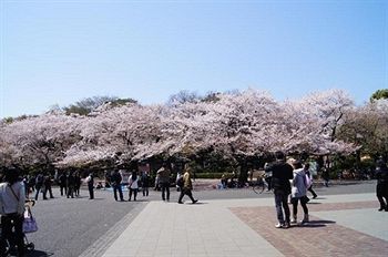 Ueno Touganeya 2*