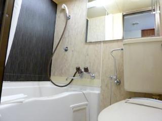 Mystays Asakusa 3*