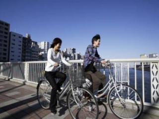 Hotel Mystays Asakusa 3*