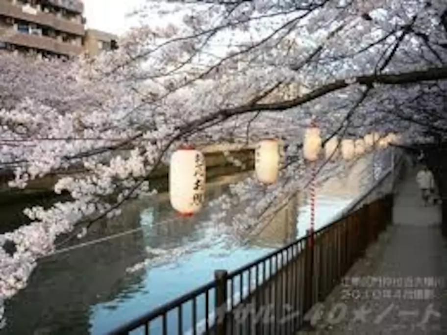Lovely Old House On River Tokyo