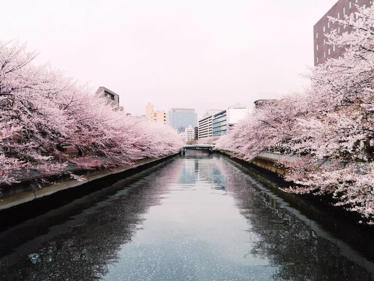 Lovely Old House On River Tokyo