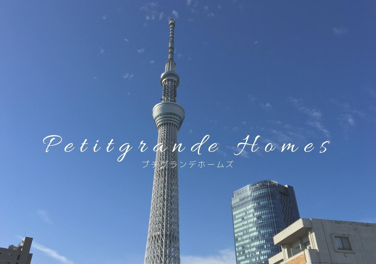 Aparthotel Petit Grande Homes