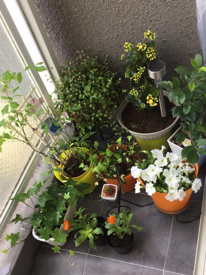 Guest house Raku Raku House *