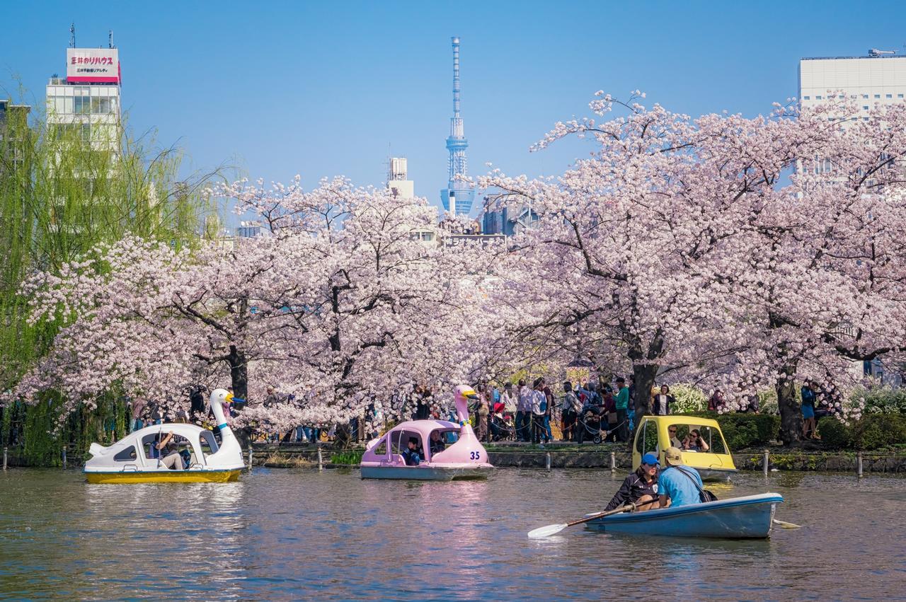 Sadou Ueno * Tokyo