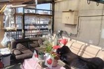 Hotel 2020 Tokyo