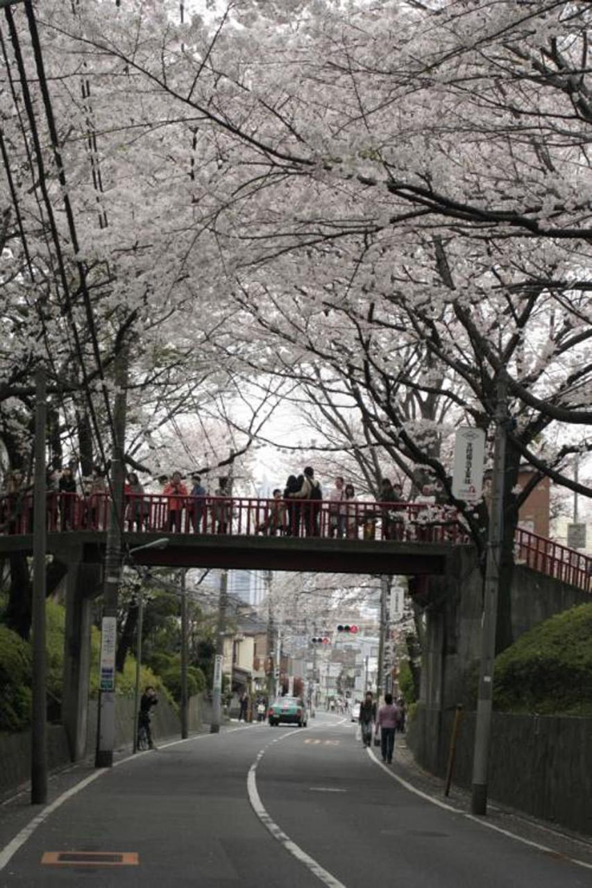 田園調布南ビル * Tokyo