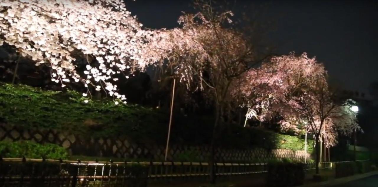 田園調布南ビル
