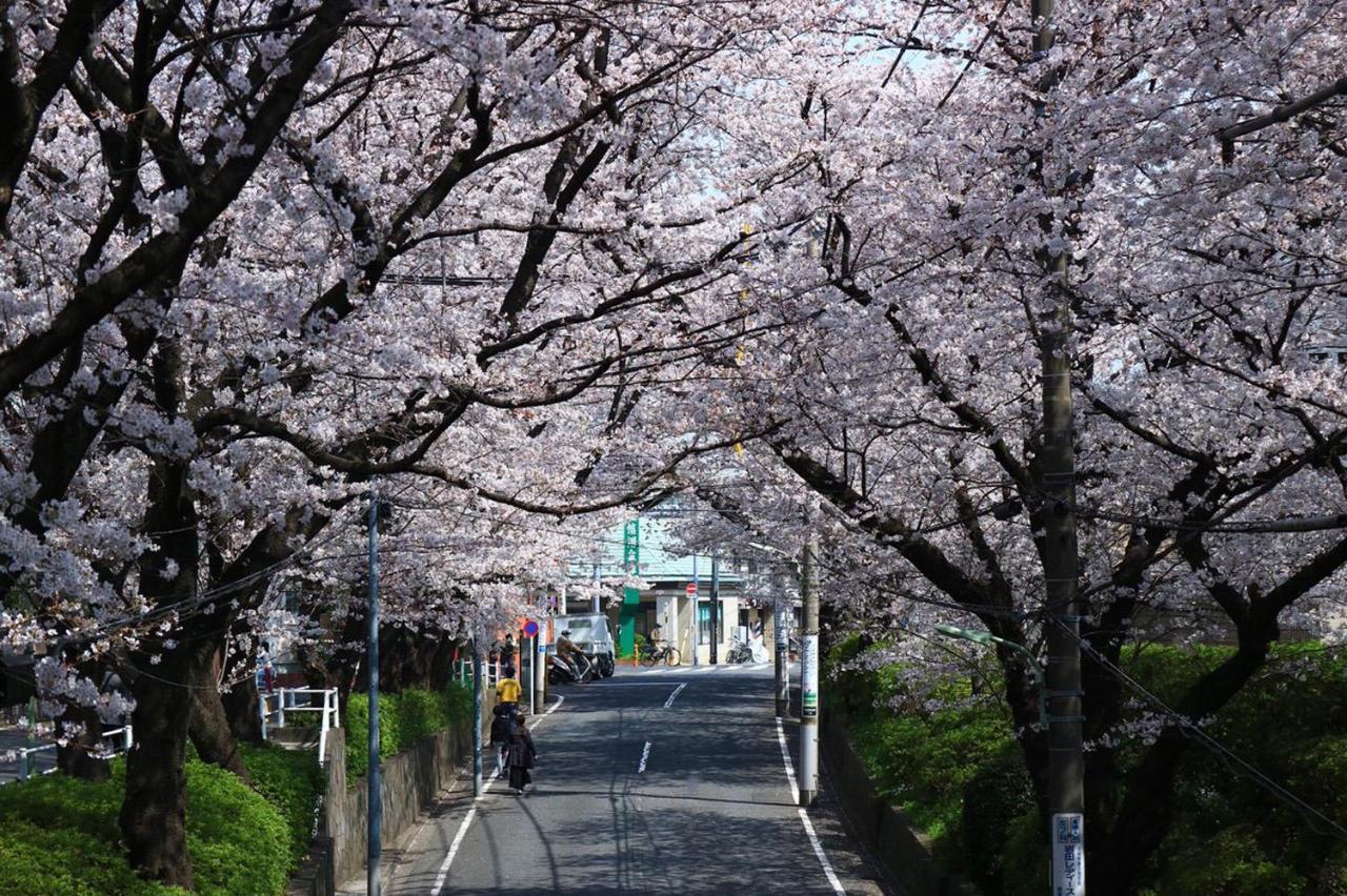 田園調布南ビル *