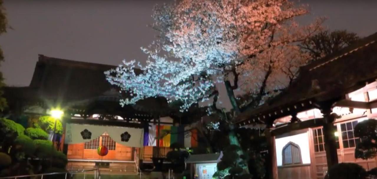 田園調布南ビル Tokyo