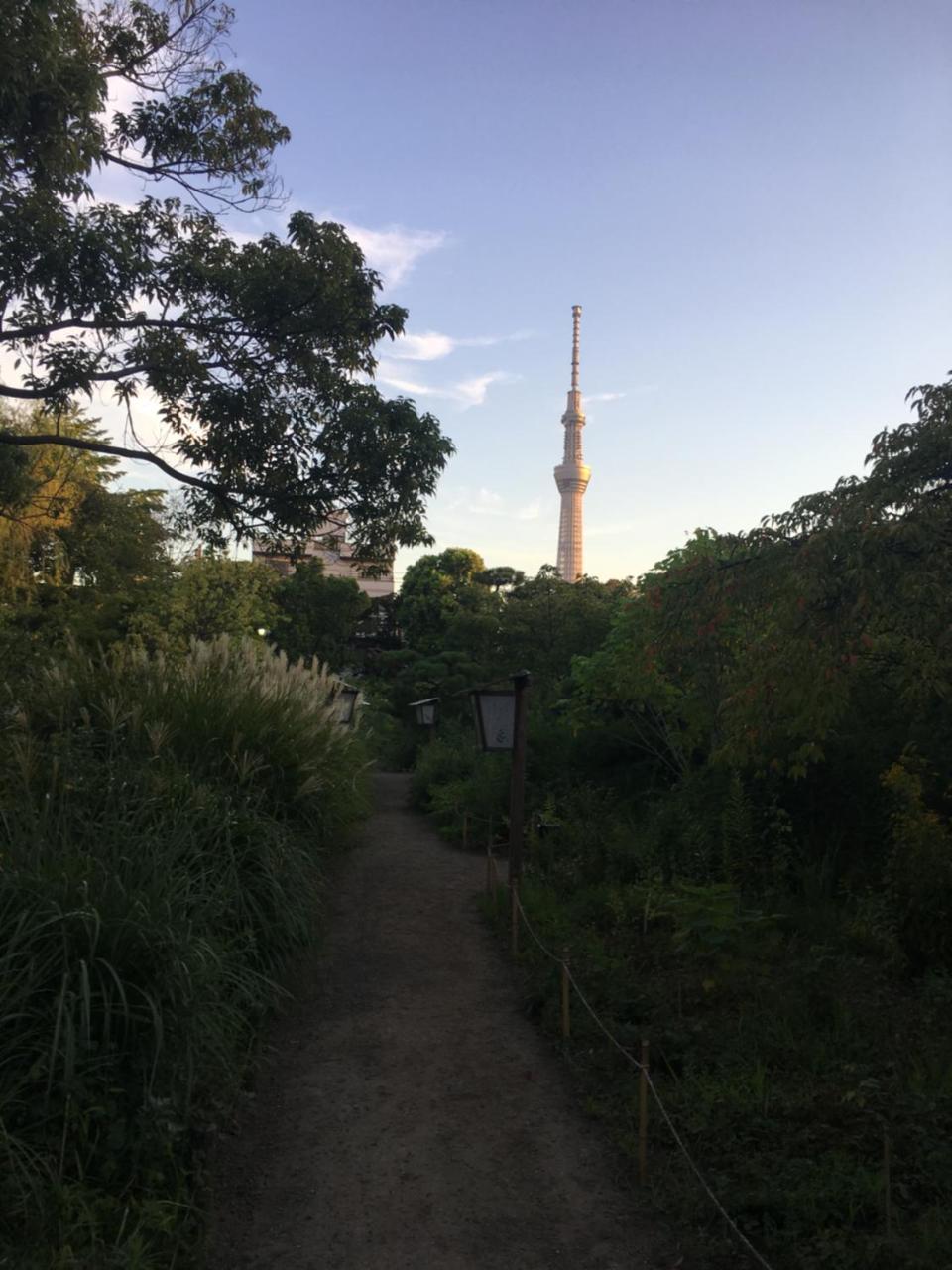 ファミリータワー向島百花園 Guest house
