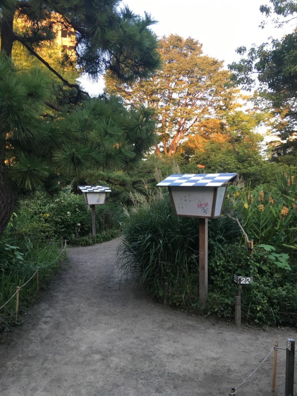 ファミリータワー向島百花園 * Tokyo