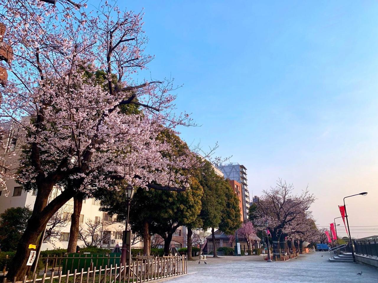 Apa Asakusa Kaminarimon Tokyo