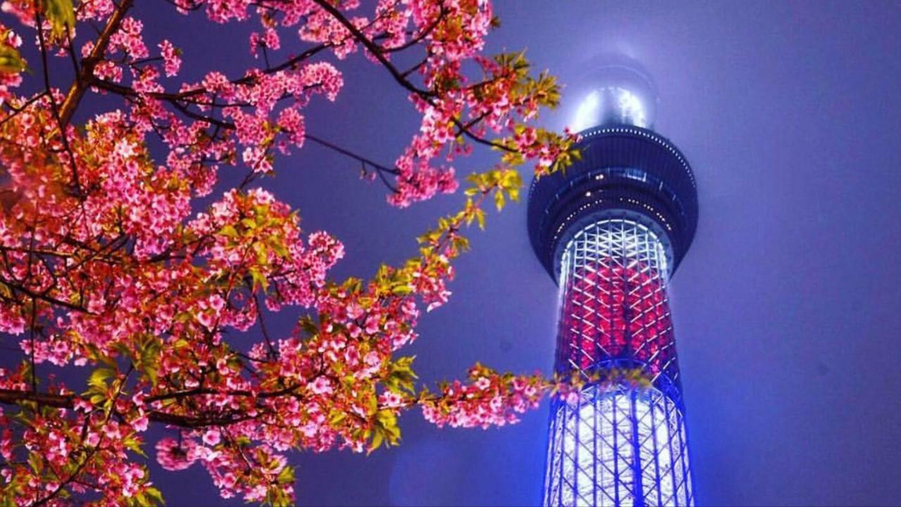 裏浅草アートレジデンス * Tokyo