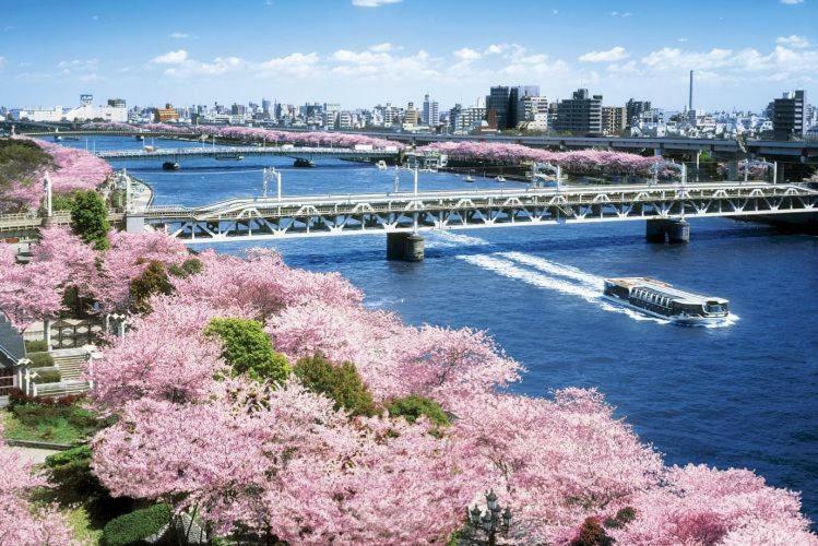 Asakusa Homesuites Hotel