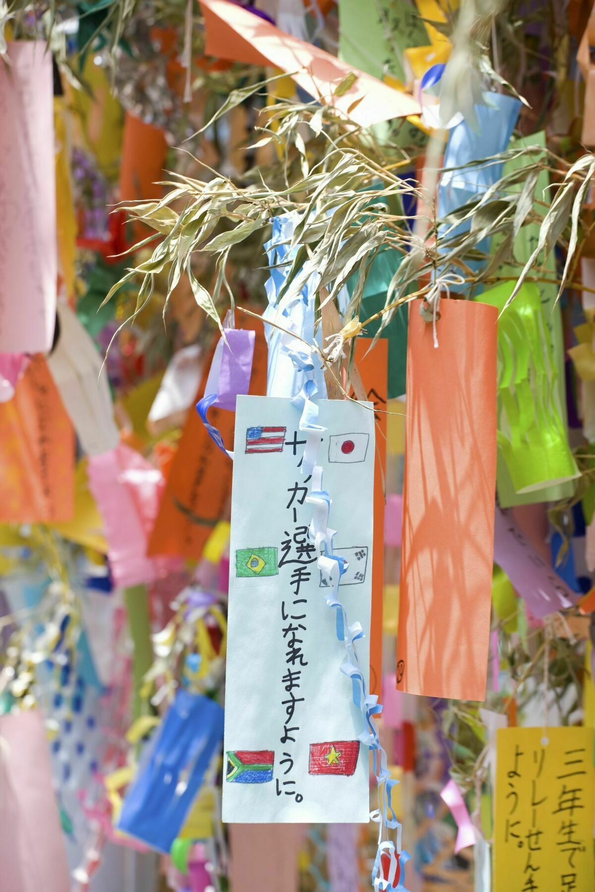 Samurai Asakusa *
