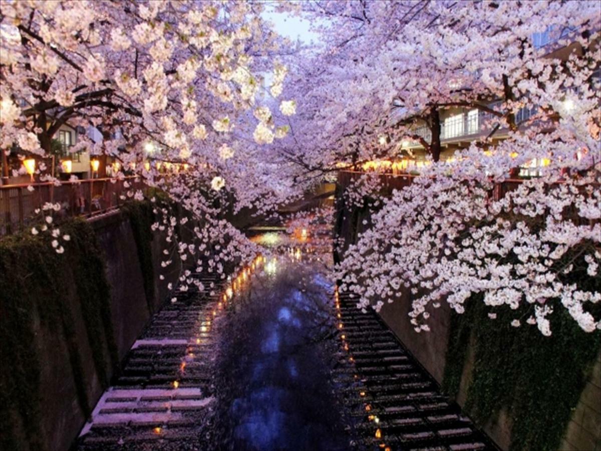 First Nishiazabu
