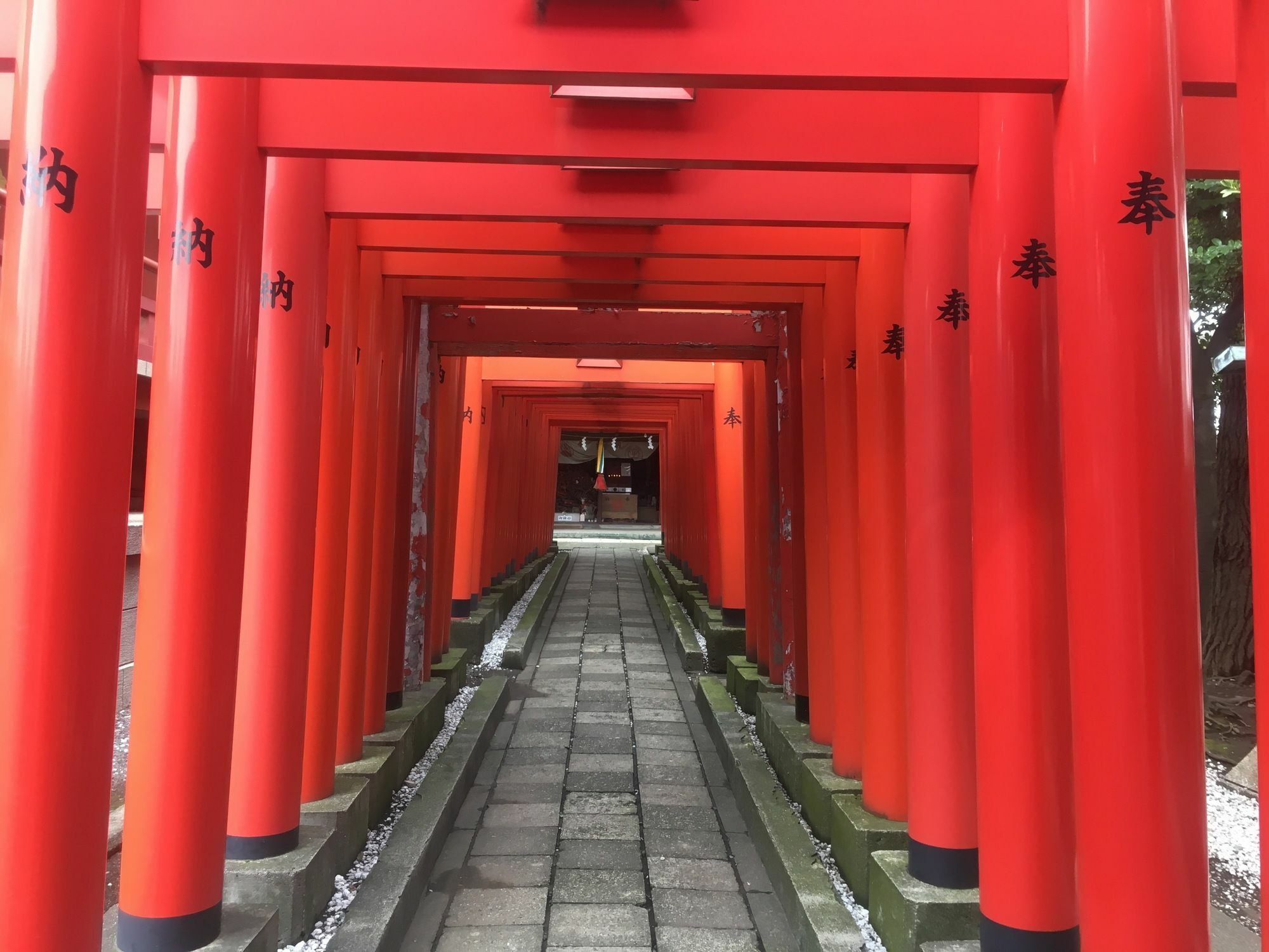 Japan Shinya Tokkyu Tokyo