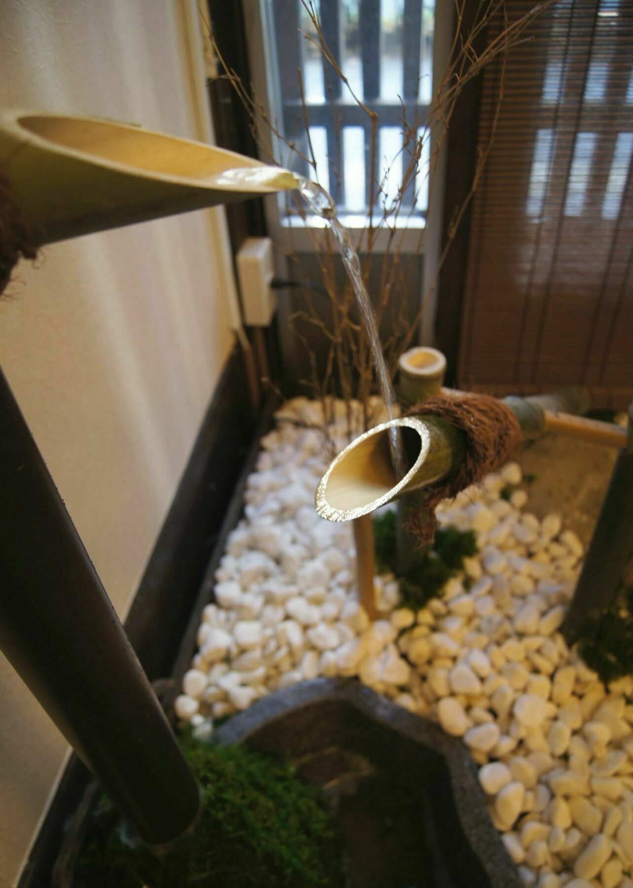 Asakusa Shinobi House
