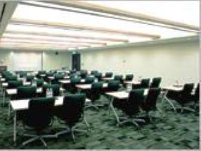 Chisun Hamamatsucho Hotel 3*