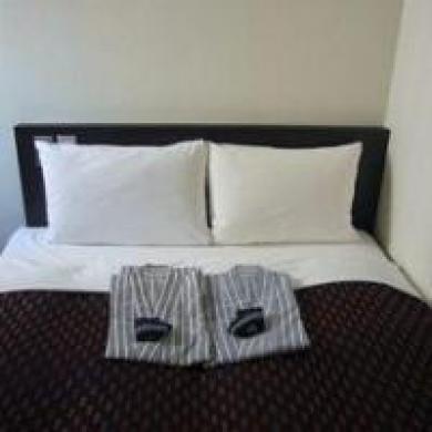 Ueno Touganeya Hotel