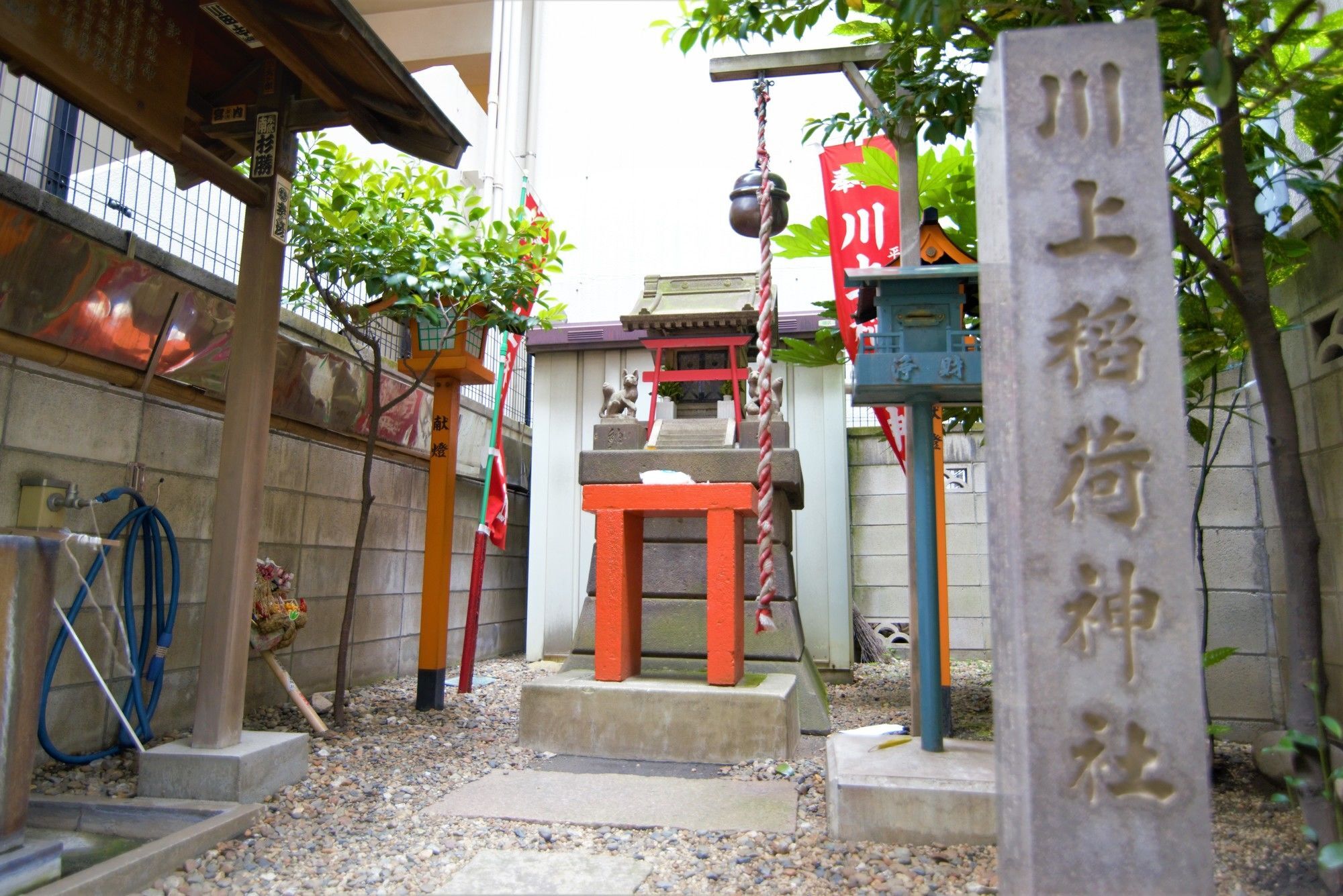 Trace Guest house