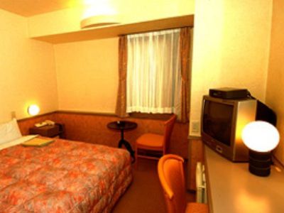 Ibis 3*