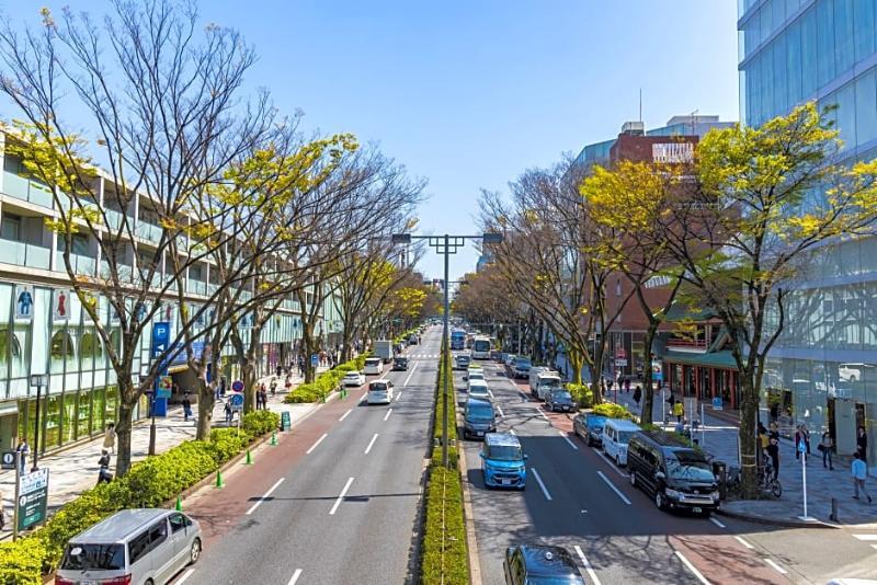 Hotel Candeo Shimbashi