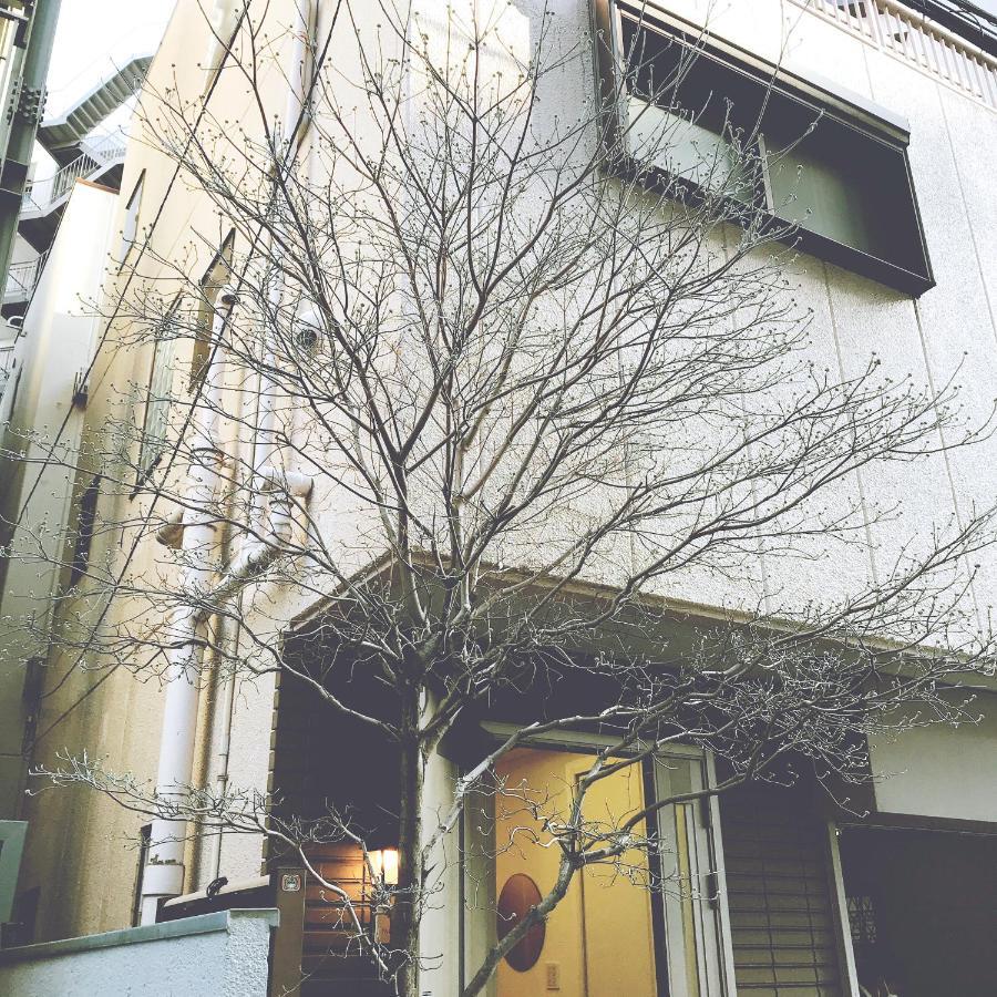 Nestle Luxury Otsuka Apartment