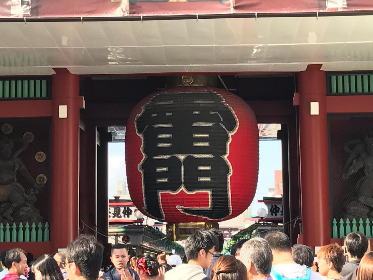 Owl Nippori *
