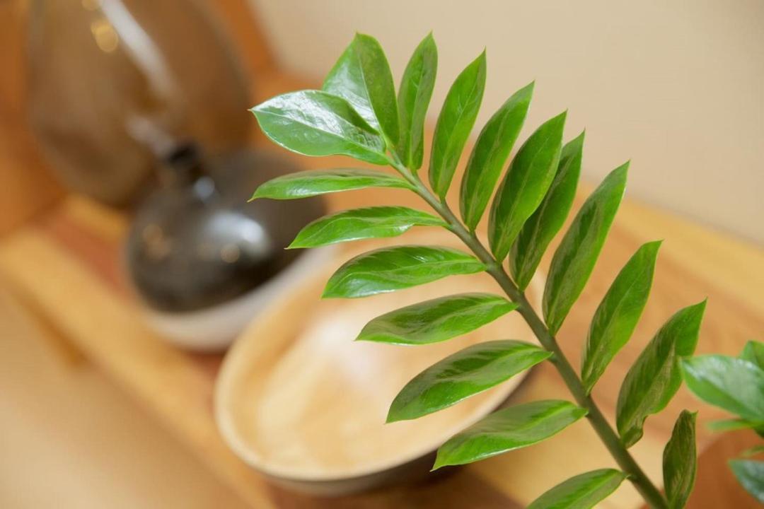 Nishi-sugamo Guest House. 2min To Nishi-sugamo Sta. 13min To Ikebukuro Sta. Apartment Tokyo