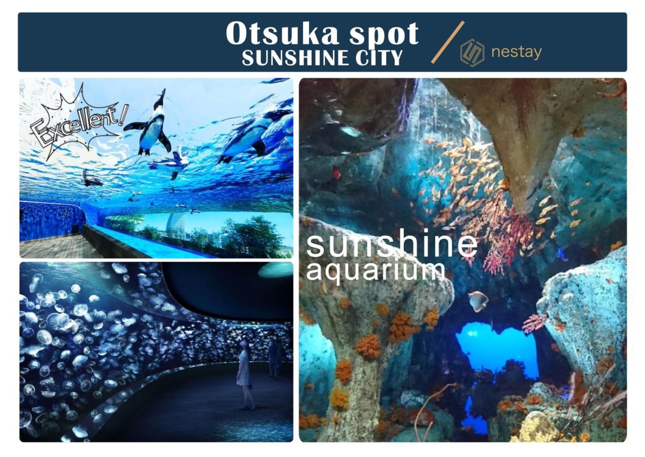 Nestay Otsuka *