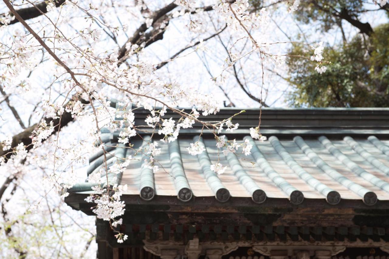 Sadou Ueno Hostel *