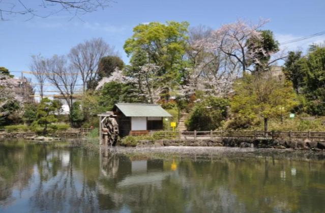 Villa Shibuya Tokyo