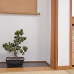 Green House 101
