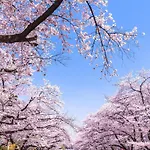 Hotel Owl Tokyo Nippori