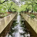 Daikanyama 401 - The Animate Sanctuary