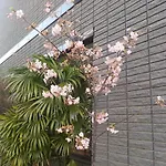 Annex Katsutaro Ryokan