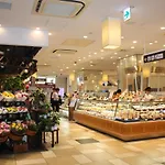 Ficus Tokyo Akihabara