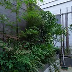 Bula Kusunoki / Vacation Stay 4694