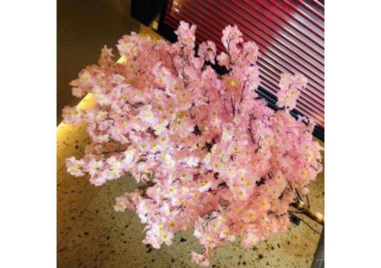 Sakura Sky - Vacation 18442v Hotel