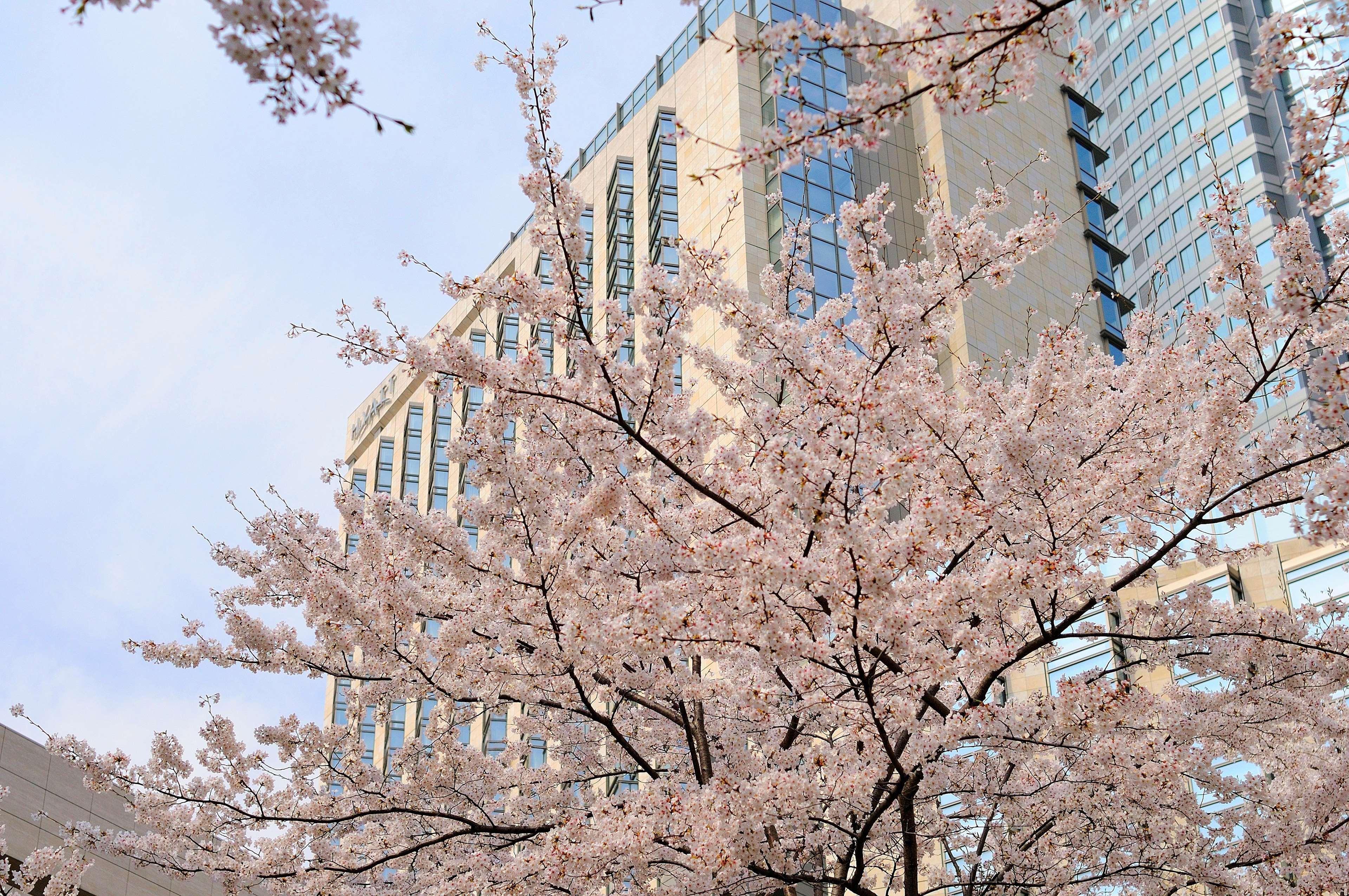 Grand Hyatt Hotel Tokyo