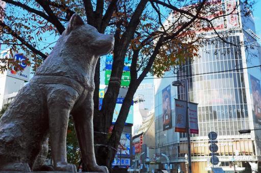 Apartment Edifice Shibuya301