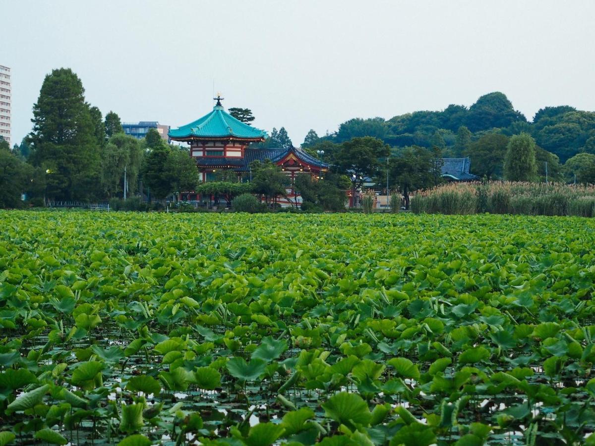 Regnocomfort Asakusa 3 - Vacation 57915v * Tokyo
