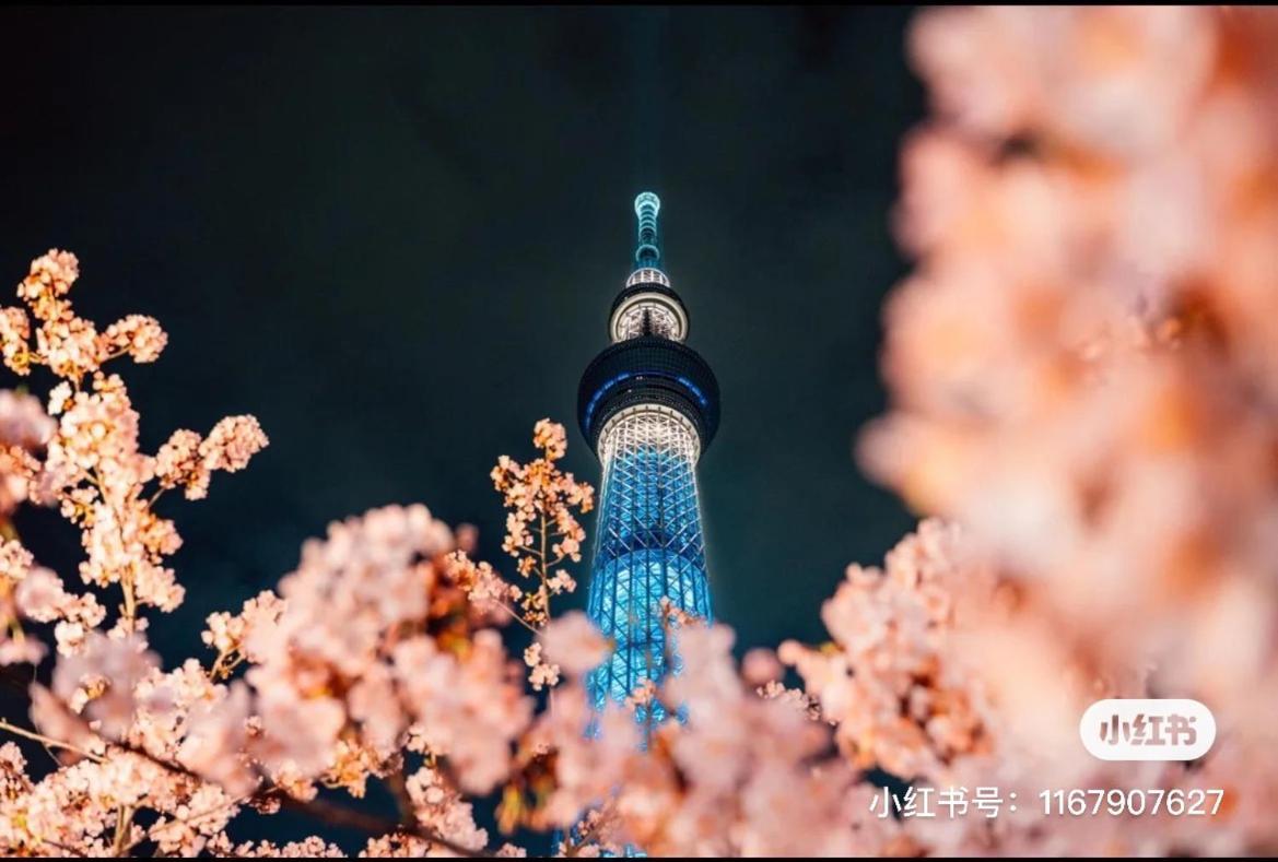 Sky House晴空塔家庭或团队套房 * Tokyo