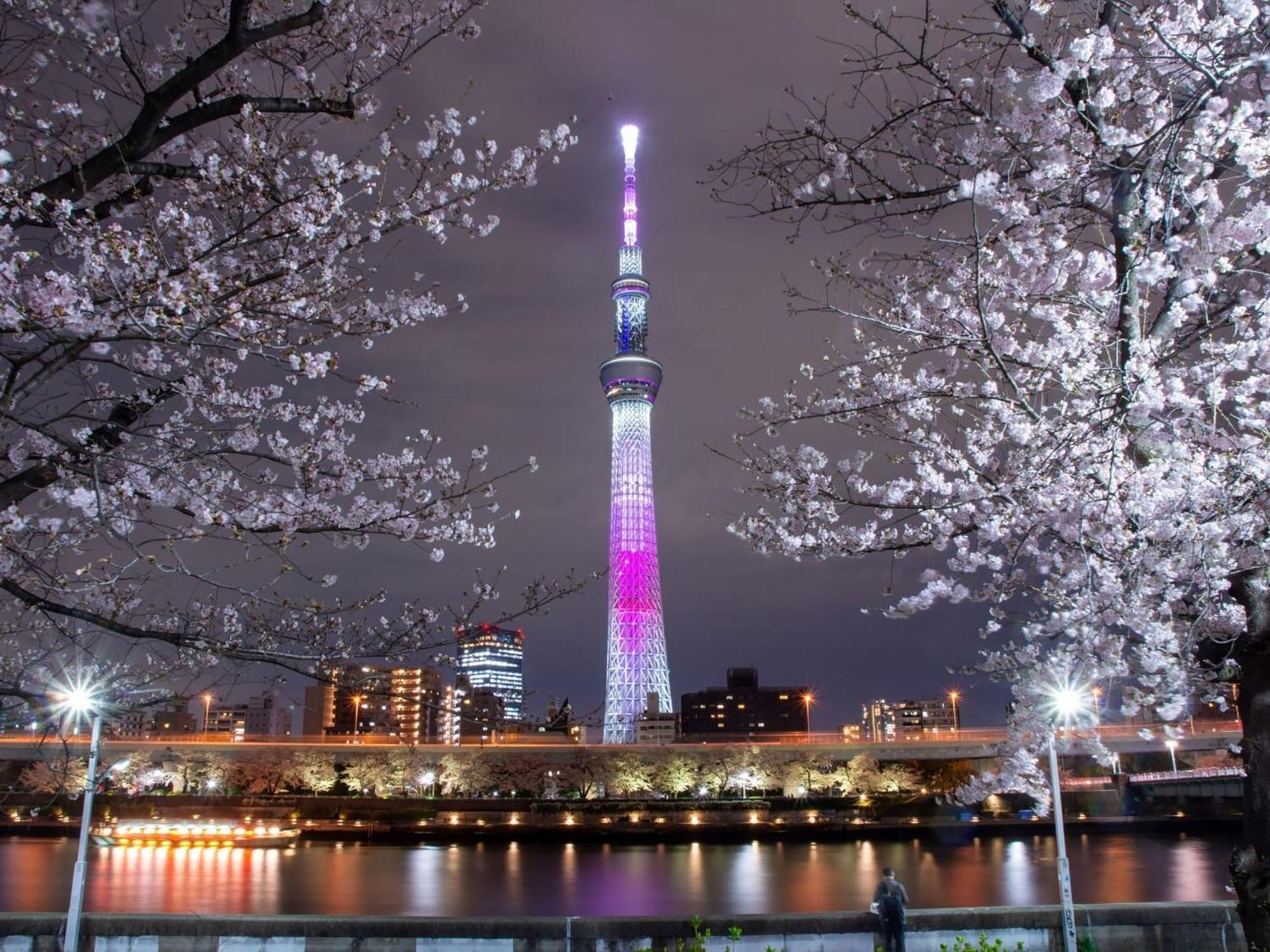 Rakuten Asakusa Single *