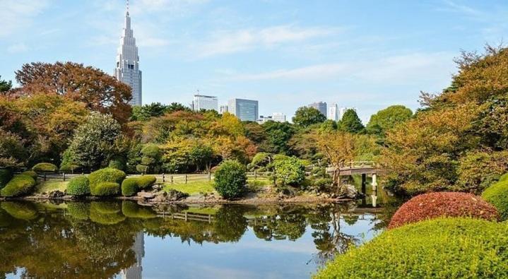 Gogh Shinjyuku Shibuya New Open ! * Tokyo