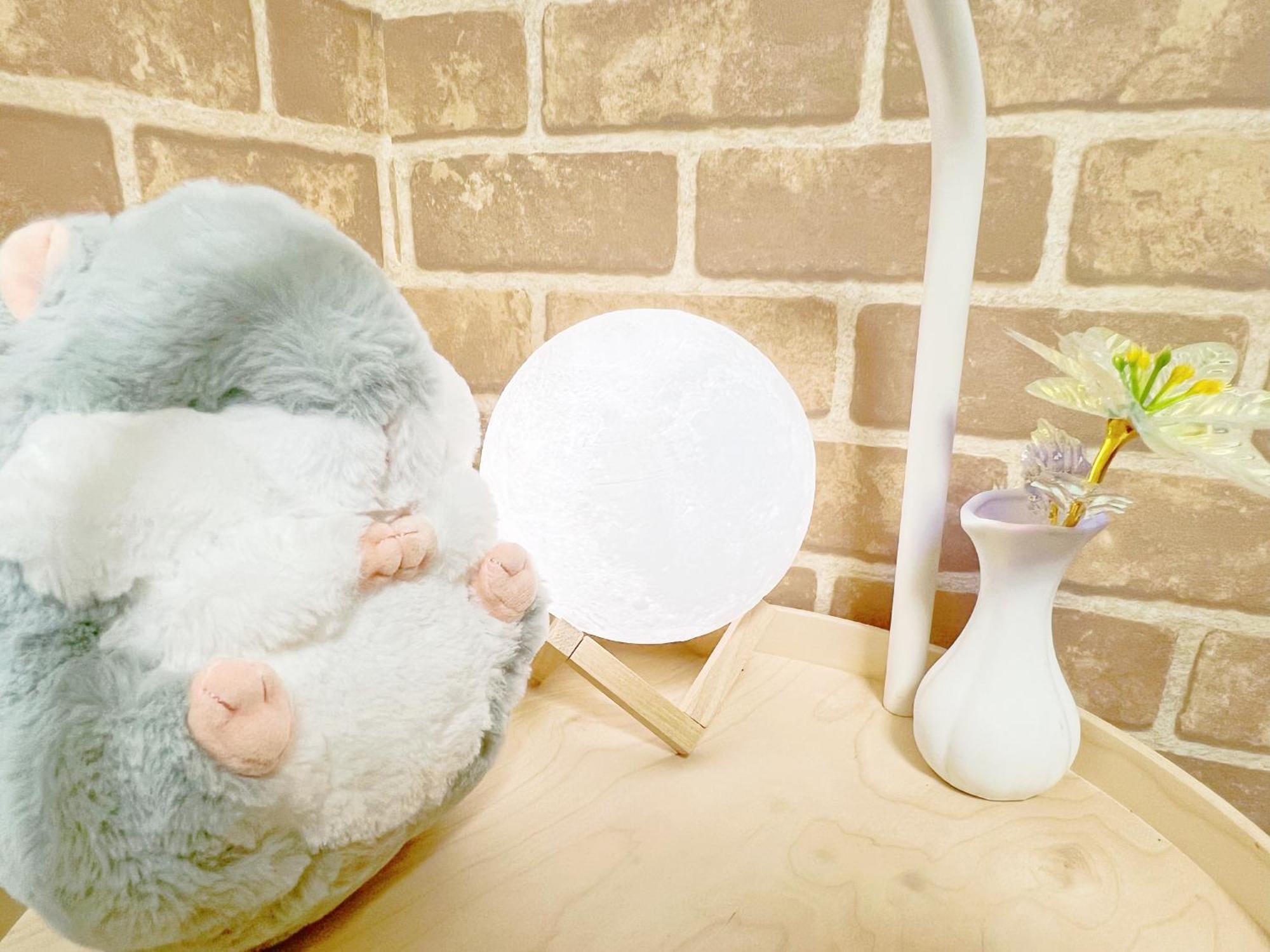 Homestay 東新宿1分&新大久保10分 Tokyo